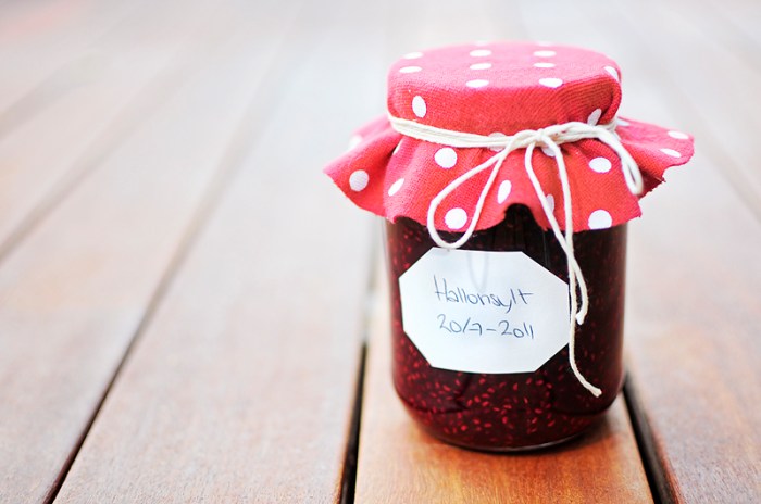 raspberry_jam_by_ziggetyzag