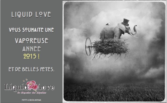 Voeux Liquid Love 2015 JPG