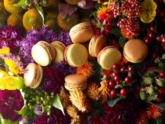 Macaron Jardin d'Automne